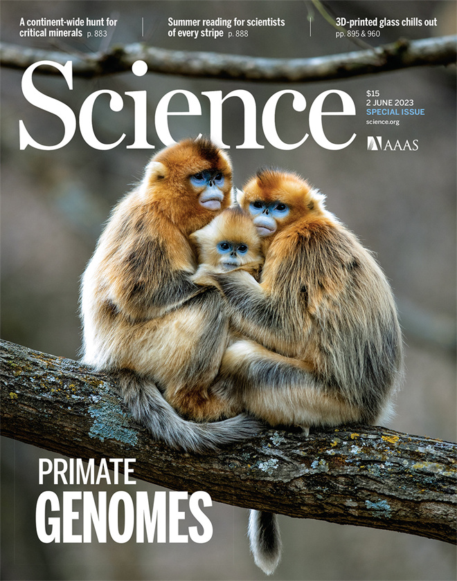 Science封面文章:西北大學金絲猴研究團隊首次系統揭示靈長類社會演化之謎_fororder_《自然》封面.JPG