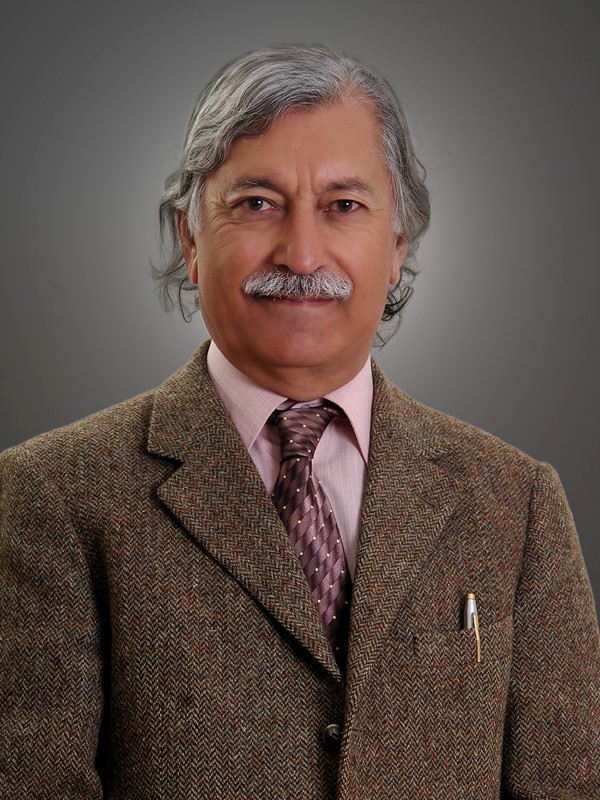 “楊鐘健學(xué)術(shù)講座”第二百四十二講：Threats of Natural Hazards to Karakoram Highway in the Kohistan-Karakoram transect, Pakistan